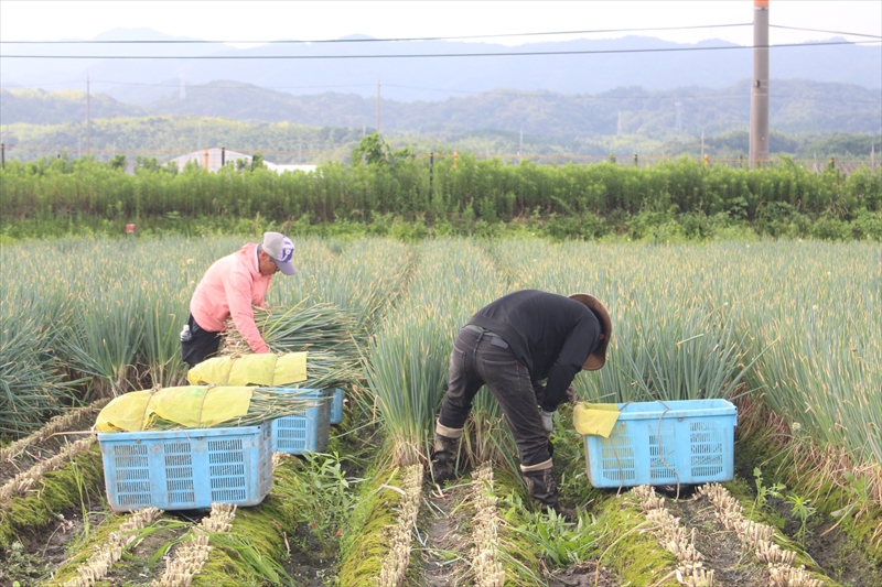 大阪府泉南市兎田の山下物産株式会社