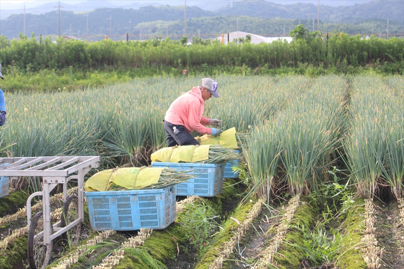 大阪府泉南市兎田の山下物産株式会社