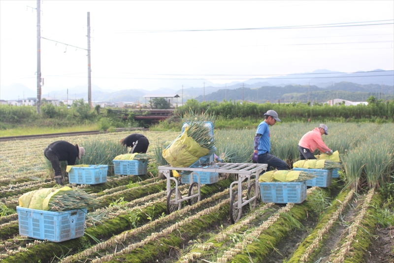 大阪府泉南市兎田の山下物産株式会社