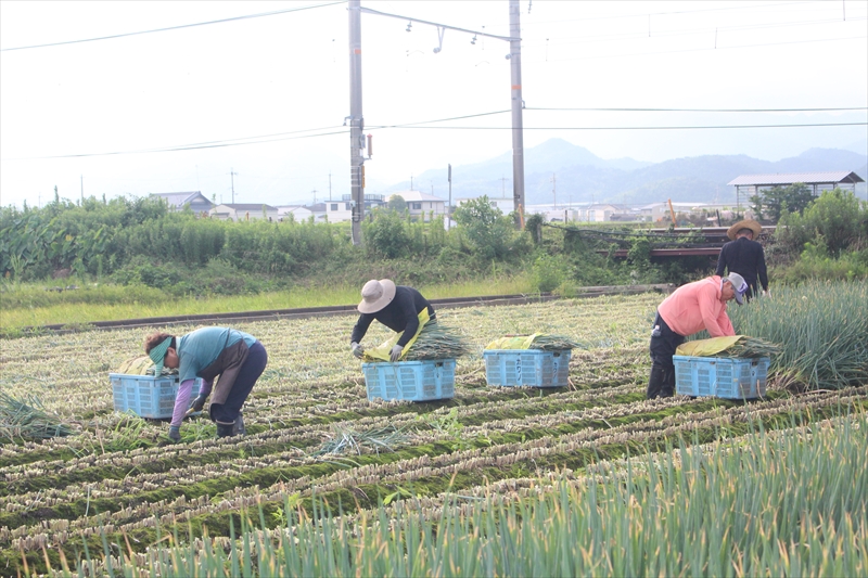 大阪府泉南市兎田の山下物産株式会社