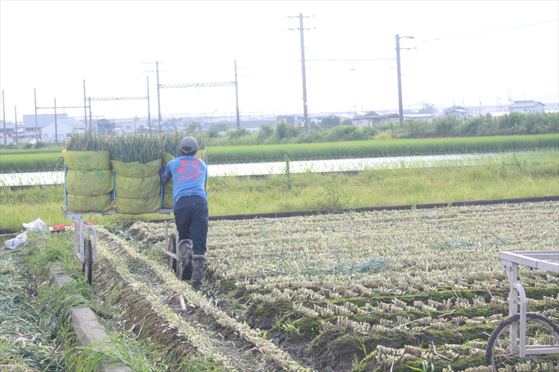 大阪府泉南市兎田の山下物産株式会社